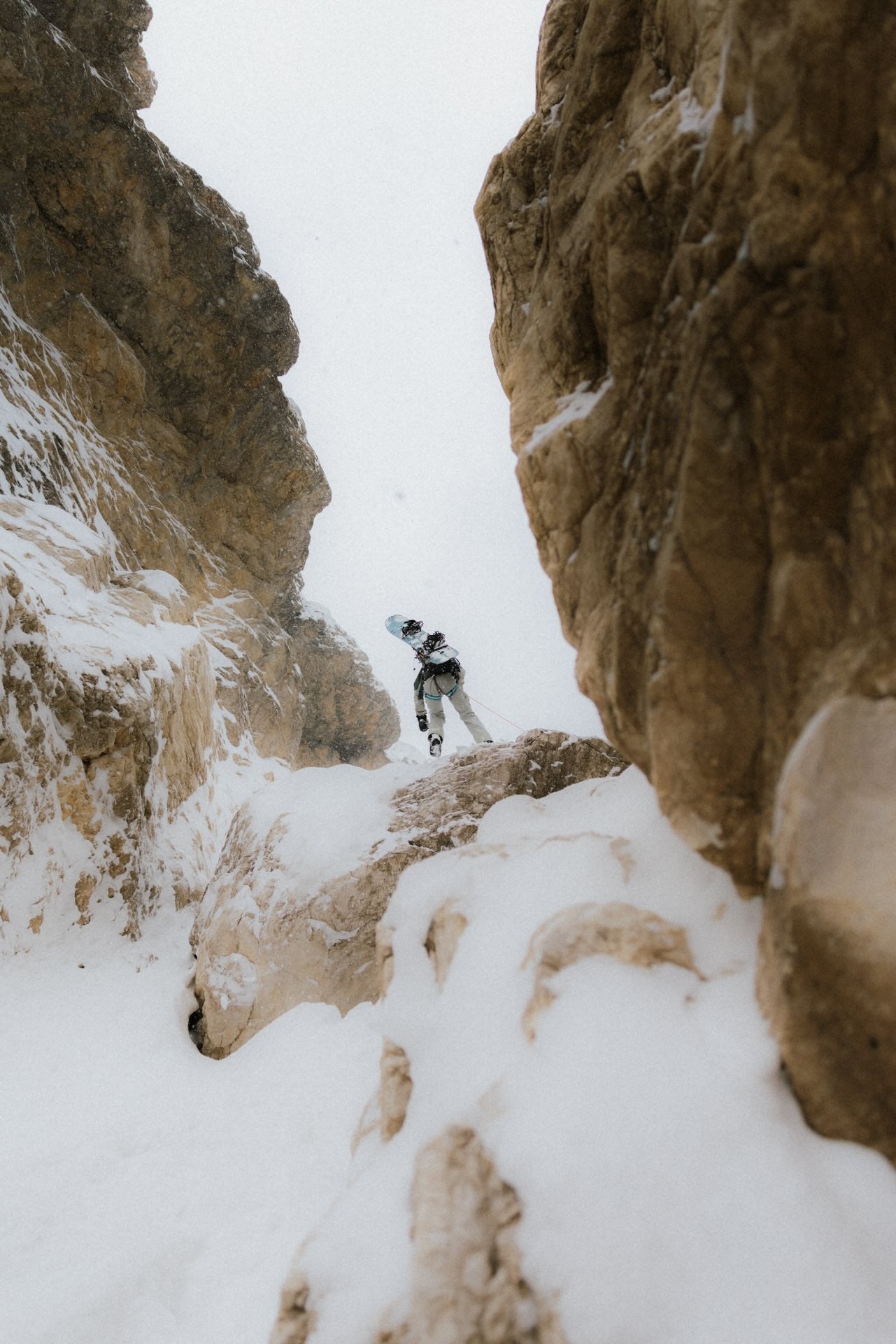 L'Amicale 2026 - San Martino di Castrozza - Dolomites